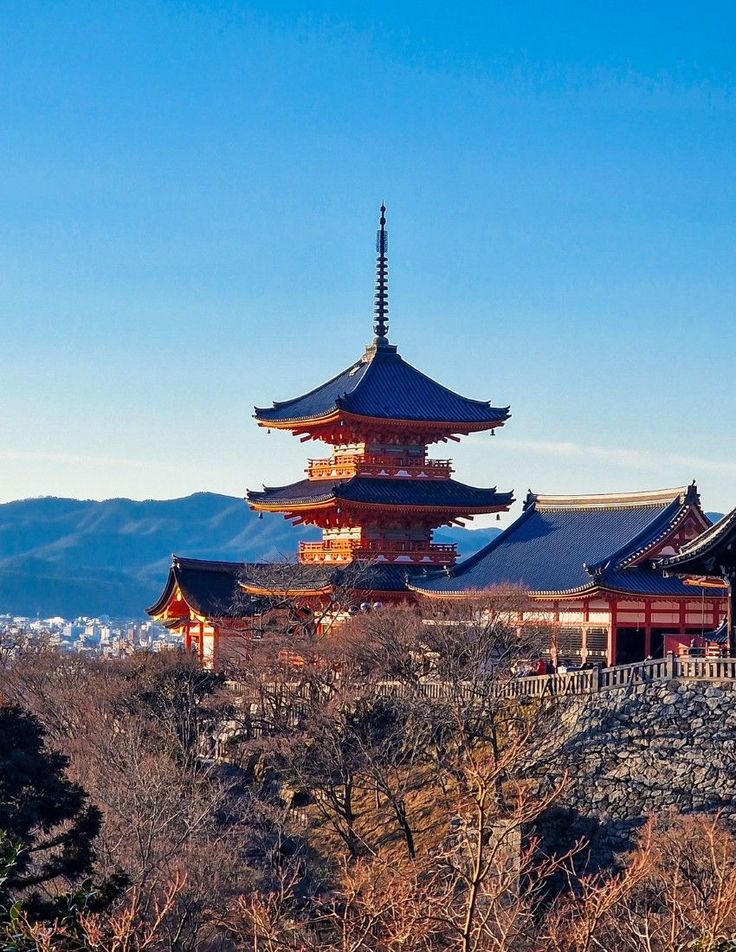 Japan Discovery Tour